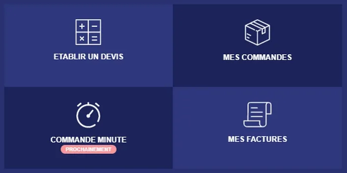 AVEC SHIPS4US, EXPEDIEZ COMME DES PROS DEPUIS LYON, GRENOBLE, SAINT QUENTIN FALLAVIER VERS LA MARTINIQUE, Grenoble, EXPRESS'I.O.N.